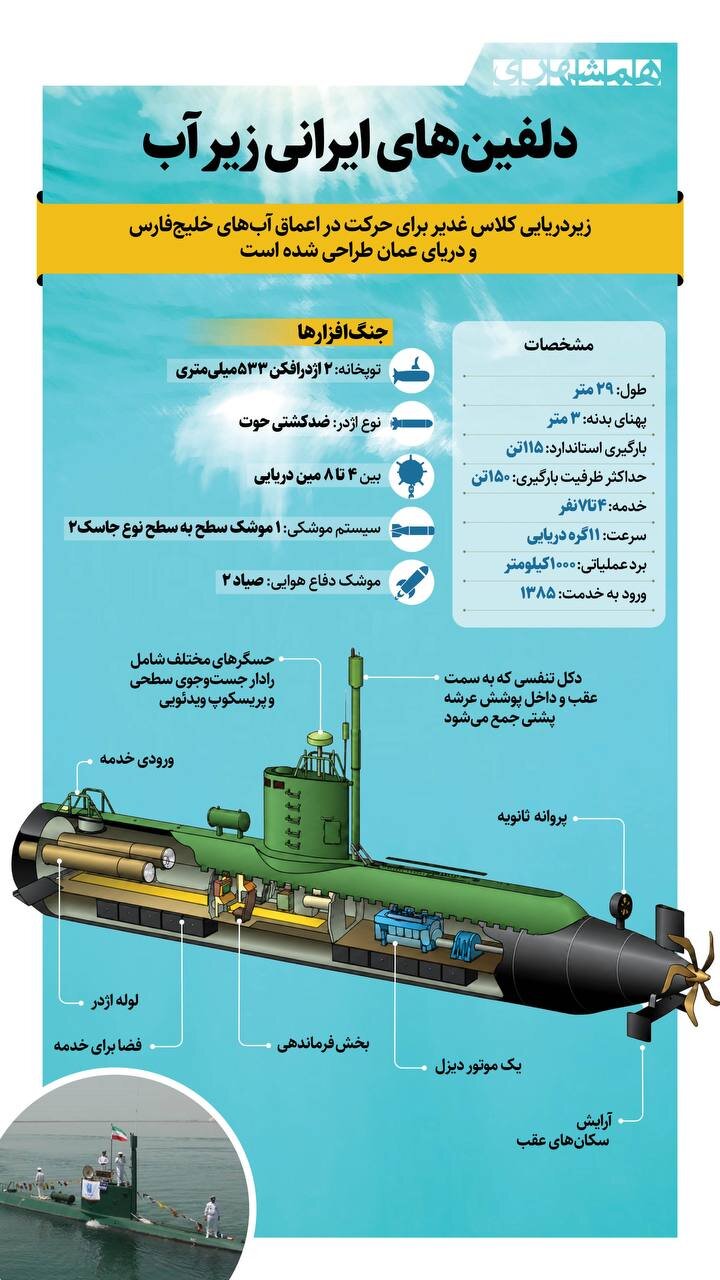 دلفین های ایرانی