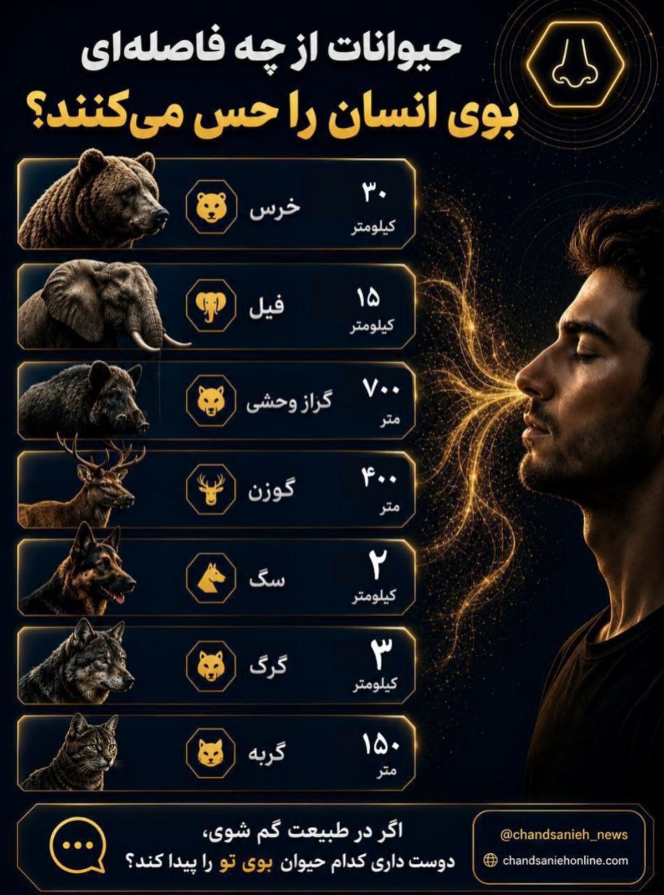 بوی انسان