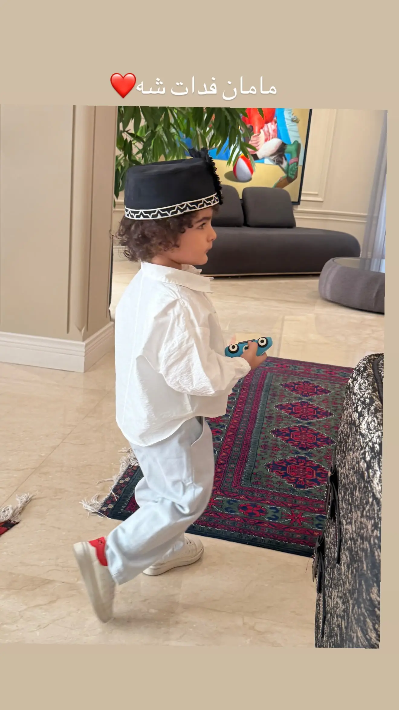 المیرا دهقانی2