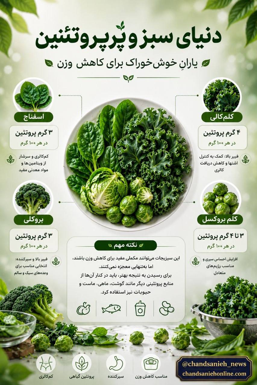 سبزیجات پروتئینی