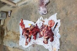 کشف ۱۰۰ کیلوگرم گوشت الاغ در ساوه