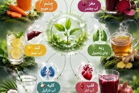 جادوی طبیعت در لیوان؛ محافظت از ارگان‌های حیاتی