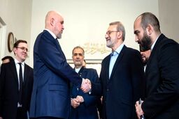 دیدار وزیر انرژی روسیه با علی لاریجانی