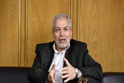 میرلوحی: تریبون‌های شبانه نباید در اختیار یک گروه خاص باشد