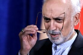 صالحی: همه قائم به ایران هستیم؛ نگذاریم این ستون بشکند