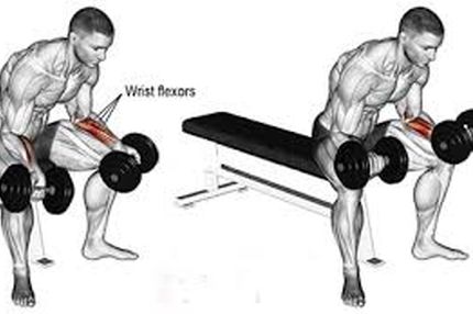 آموزش تمرینات تقویت ساعد