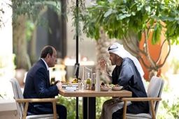 میانجیگری قاهره میان دو شاهزاده/ السیسی پیامی را از بن سلمان به بن زاید منتقل کرد