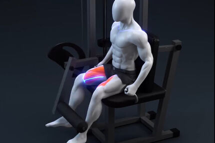 پنجه‌ها در جلوپا؛ یک تغییر کوچک با یک تصور بزرگ
