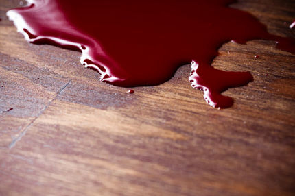 قتل خانم پرستار تهرانی در خانه‌باغ رئیسش