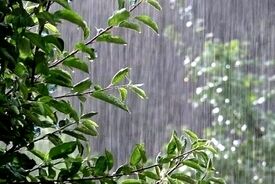 بارش باران و رعد و برق در اغلب مناطق کشور
