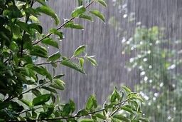 آیا بارش‌ها توانستند شدت معضل کم‌آبی را کاهش دهند؟