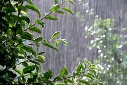 بارش باران و رعد و برق در اغلب مناطق کشور