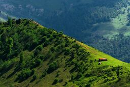 نقشه ثروت سبز ایران؛ شکاف ۴۶۲ برابری جنگل‌ها از فارس تا همدان!