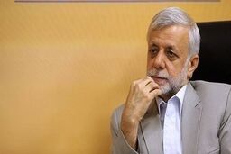 شاهد پدیده دولت در دولت هستیم | دولت‌ها حدود ۳۰ درصد قدرت اجرایی دارند | دولت با محدودیت‌های جدی مواجه است | پزشکیان اختیارات کافی ندارد 