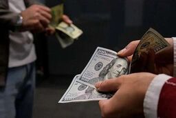 قیمت دلار، یورو و درهم امروز ۳۱ اردیبهشت ۱۴۰۵