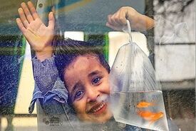 زندگی جریان دارد؛ بوی نوروز در بازار مازندران زیر سایه جنگ