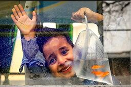 میان سوگ و امید؛ مردمی که با زخم‌های جنگ به استقبال نوروز می‌روند