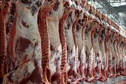قیمت گوشت کاهش می‌یابد | عرضه گوشت قرمز به قیمت هرکیلو ۸۵۰هزار تومان