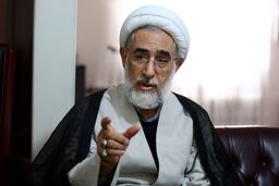 منتجب نیا: افراط‌گراها کوتوله‌های سیاسی هستند