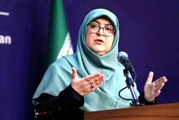ببینید | سخنگوی دولت از زمان بازگشت اینترنت بین‌الملل گفت