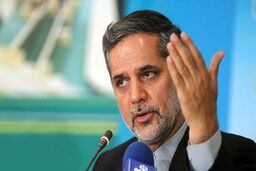 نماینده سابق مجلس: دولت می‌داند چه کسانی قاچاق سوخت می‌کنند، اما جرات برخورد ندارد