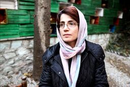 نسرین ستوده بازداشت شد