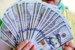 قیمت جدید دلار، یورو و درهم امروز پنجشنبه ۱۸ تیر ۱۴۰۵ | افزایش قیمت دلار