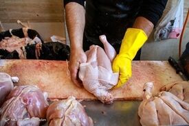 قیمت جدید مرغ تا پایان اردیبهشت در بازار اعلام شد